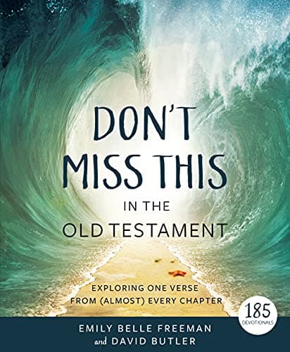 Don't Miss This in the Old Testament cover