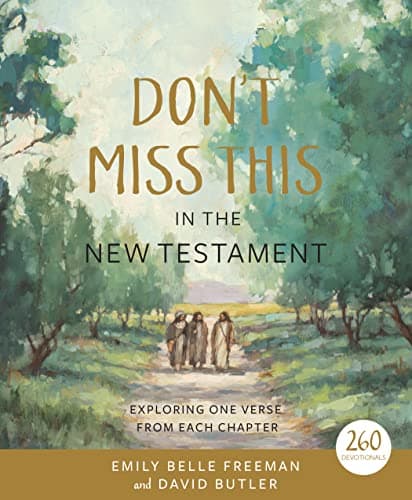 Don't Miss This in the New Testament cover
